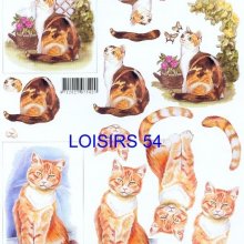 Feuille 3D chat bruns et nature